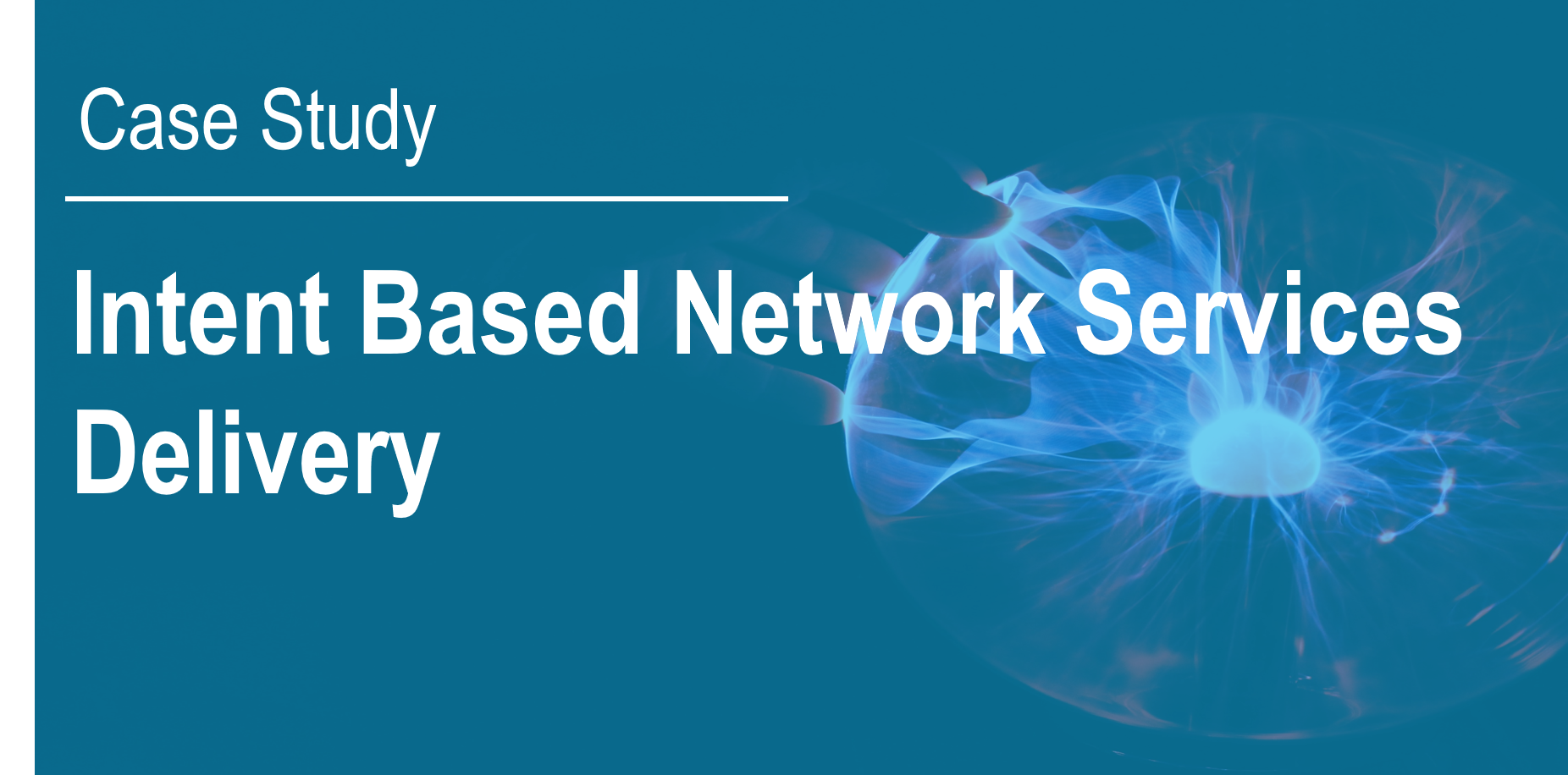 service host network service delivery optimization